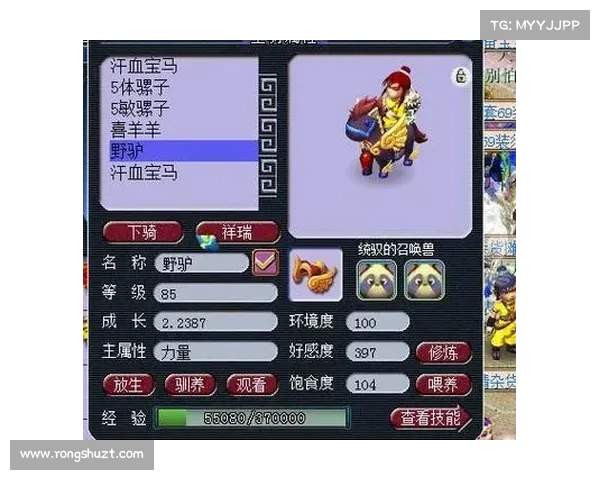 梦幻西游汗血宝马传奇力量再现背后神秘故事揭秘 梦幻西游汗血宝马传奇力量再现背后神秘故事揭秘